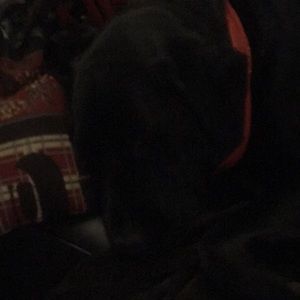 Meet your Posher, Shonna